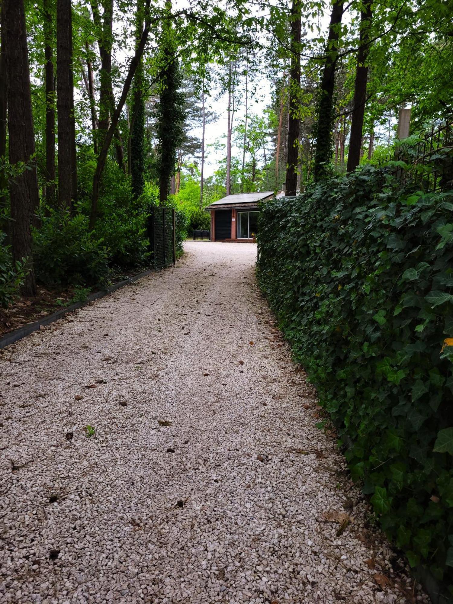 Secret Wellness Boszicht Villa Holten Exterior foto